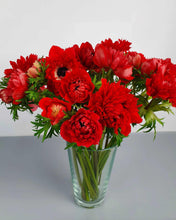 Charger l'image dans la galerie, Anemone Fullstar Red