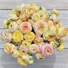 Charger l'image dans la galerie, Ranunculus Amandine Pastel Wedding Mix