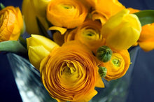 Load image into Gallery viewer, Ranunculus Tomer Yellow - Terrace Garden France