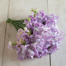 Load image into Gallery viewer, Sweet Pea "Spencer Pulsar"