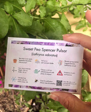 Load image into Gallery viewer, Sweet Pea "Spencer Pulsar"