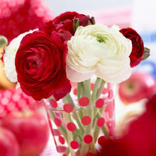Charger l'image dans la galerie, Ranunculus "CandyCane" Mix
