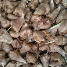 Charger l'image dans la galerie, Freesia Double White bulbs/corms
