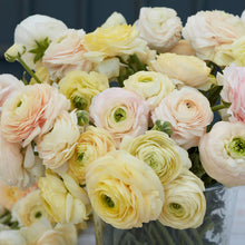 Load image into Gallery viewer, Ranunculus Amandine Pastel Wedding Mix
