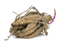 Load image into Gallery viewer, Dahlia 'Kogane Fubuki' tuber - Terrace Garden France
