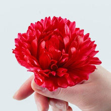 Load image into Gallery viewer, Anemone Fullstar Red - Terrace Garden France
