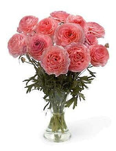 Charger l'image dans la galerie, Ranunculus Romance "Nohant" - Terrace Garden France
