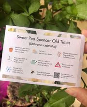 Load image into Gallery viewer, Sweet Pea "Spencer Old Times"
